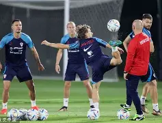 克罗地亚队长受伤：世界杯防线受挫(克罗地亚历届队长)